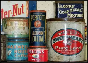 tins2