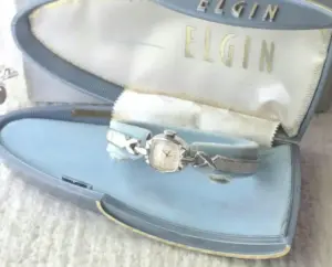 blue case