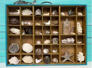 trinket printer tray1